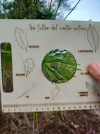Leaf identification guide held by a person with various leaf illustrations and labels.