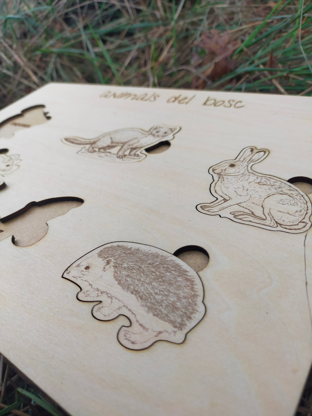 Wooden board with cut-out shapes of animals like a hedgehog, rabbit, and cat on a grassy background.