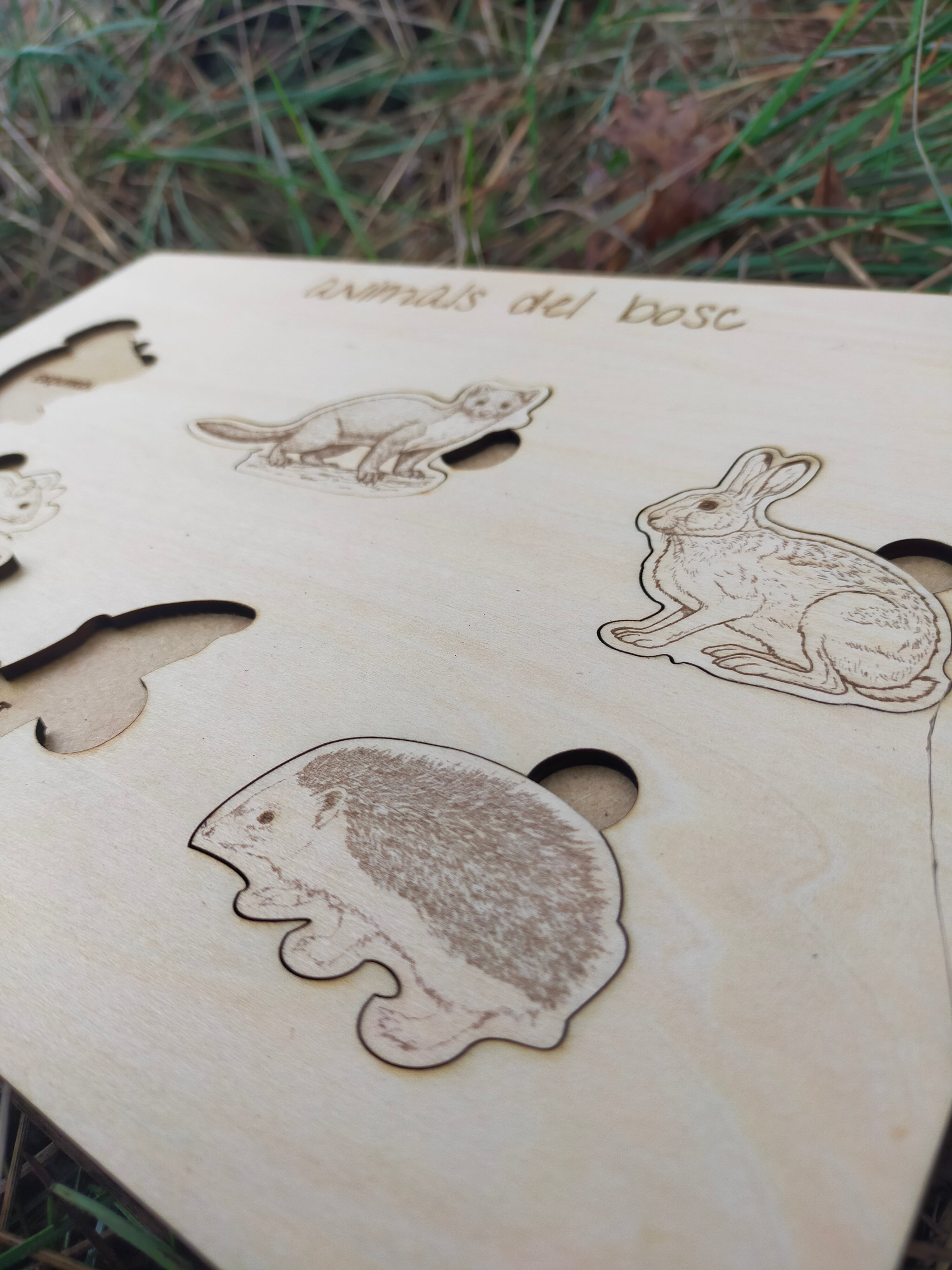 Wooden board with cut-out shapes of animals like a hedgehog, rabbit, and cat on a grassy background.