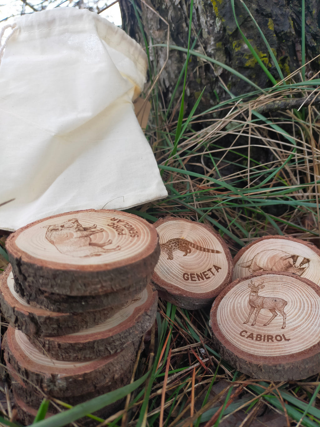 Stack of wooden slices with engraved animal designs and text, placed on grass.