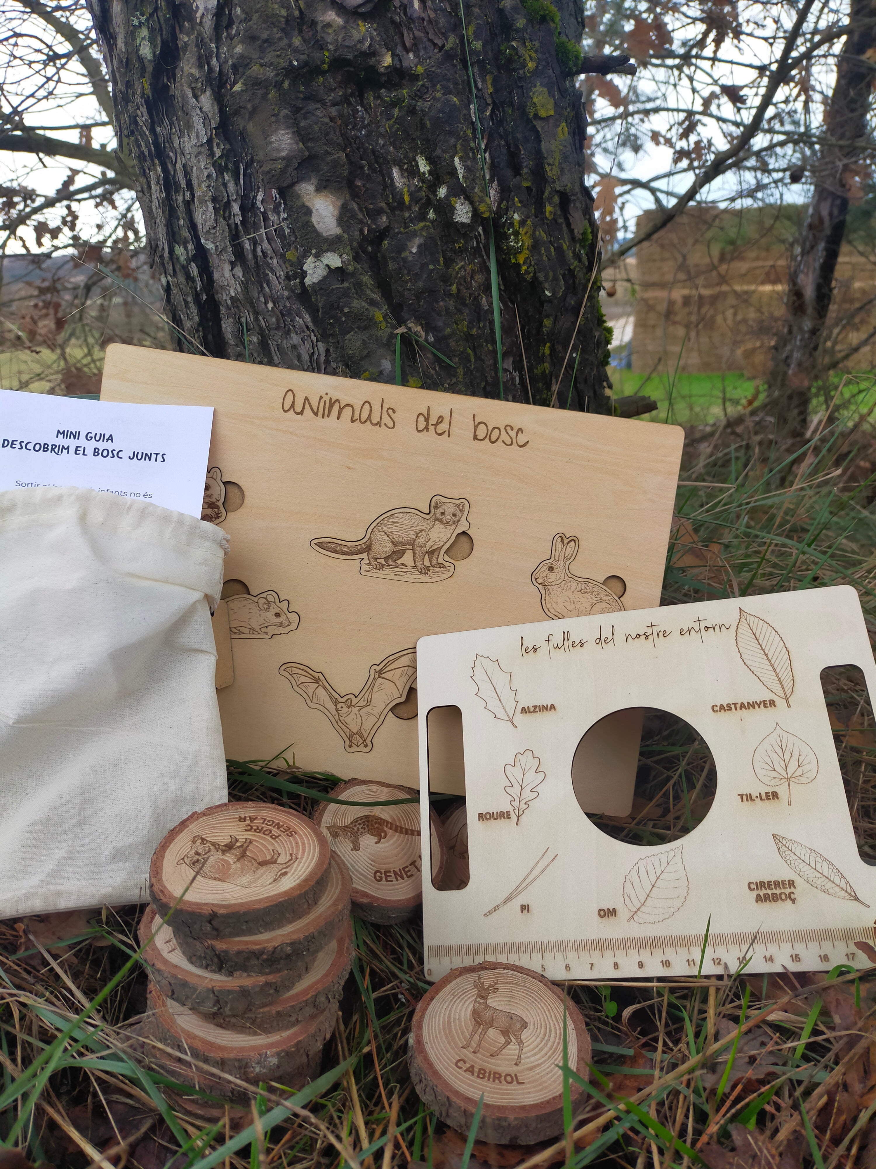 Educational nature toys and materials on the ground with a tree in the background