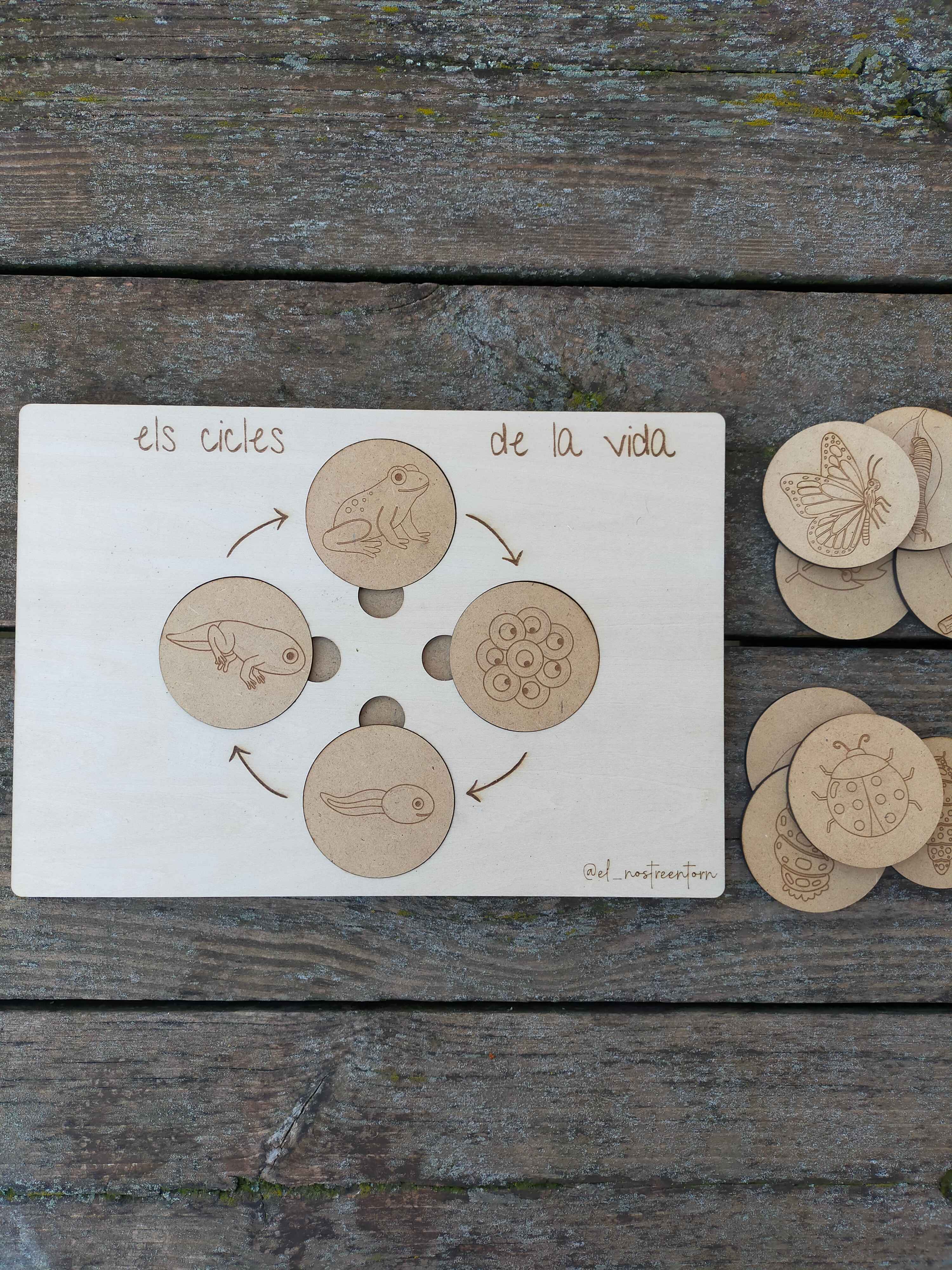 Joc de fusta, per aprendre sobre el cicle de vida de 3 animals del nostre entorn: la papallona, la granota i la marieta.