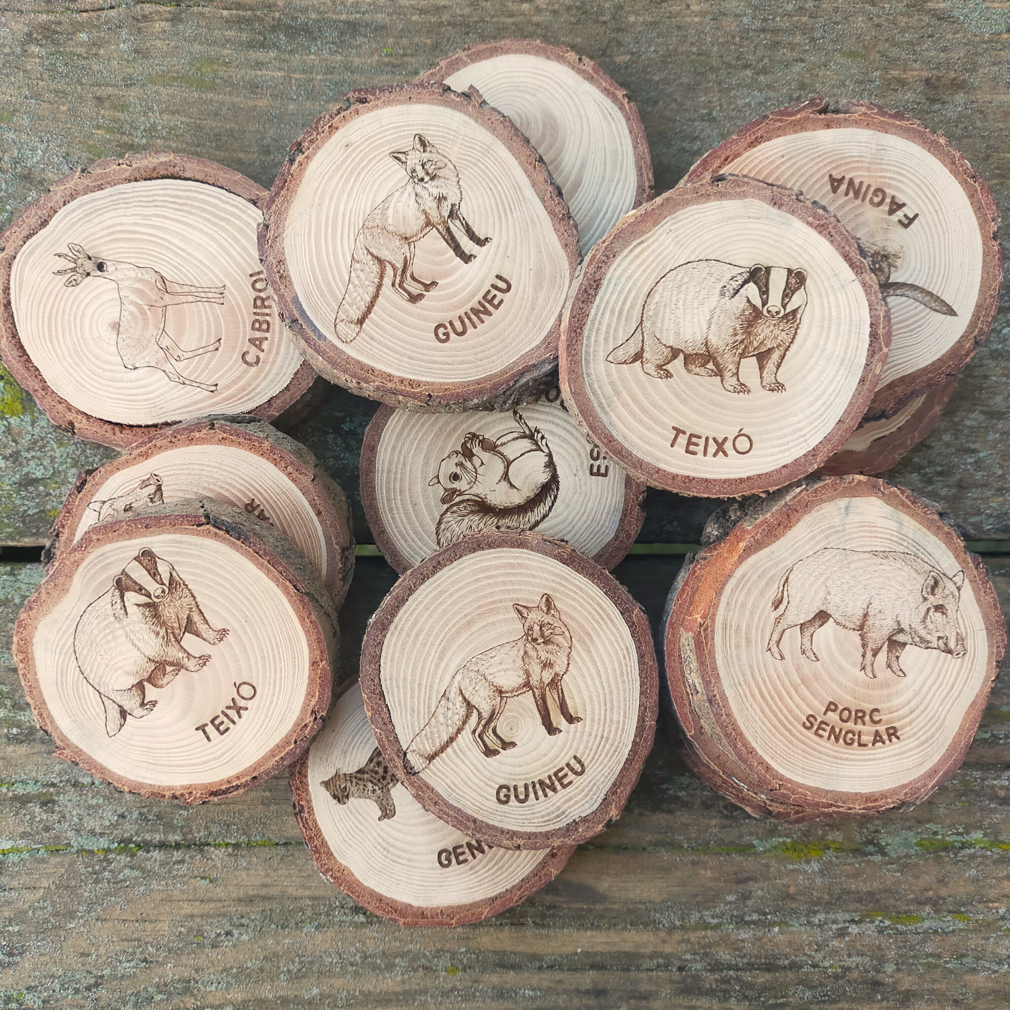 Joc de memòria- mamífers