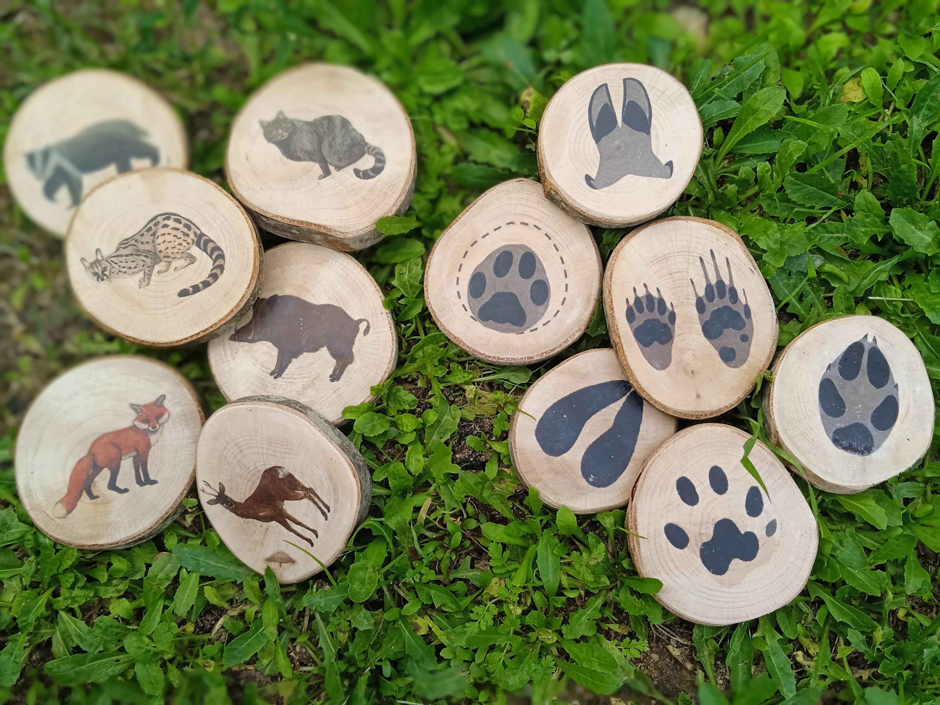 joc amb llesques de fusta, de 14 peces amb els dibuixos de 7 mamífers del nostre entorn